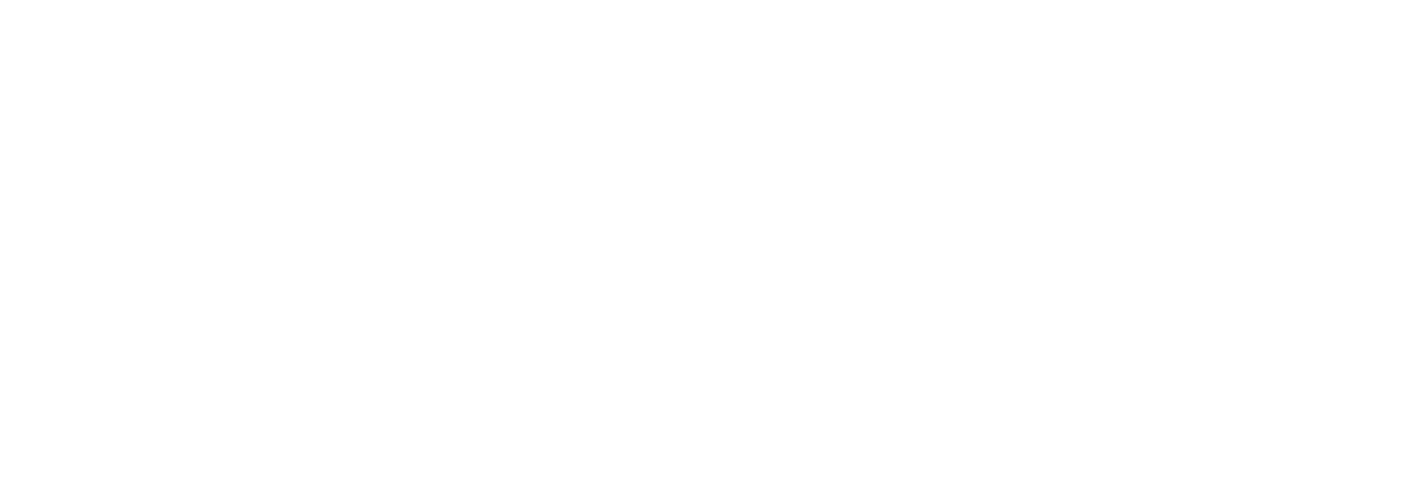 SOLVANE